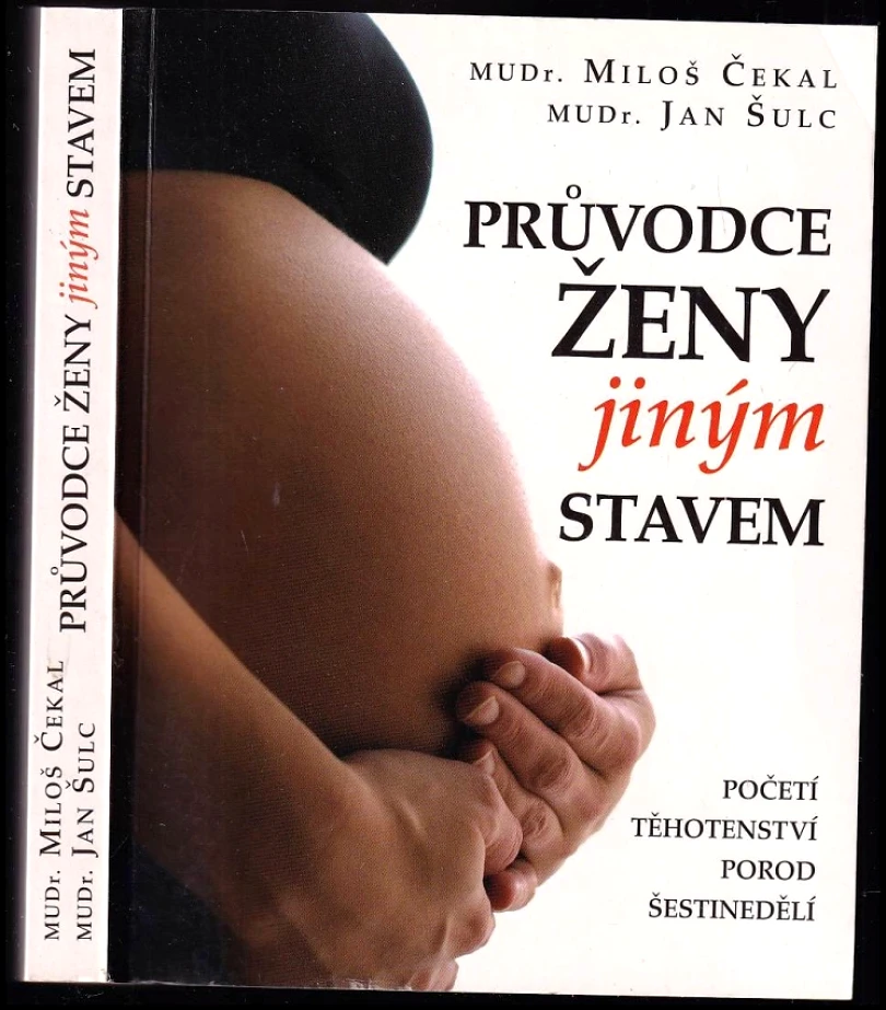 Průvodce ženy jiným stavem (Miloš Čekal, 2010)