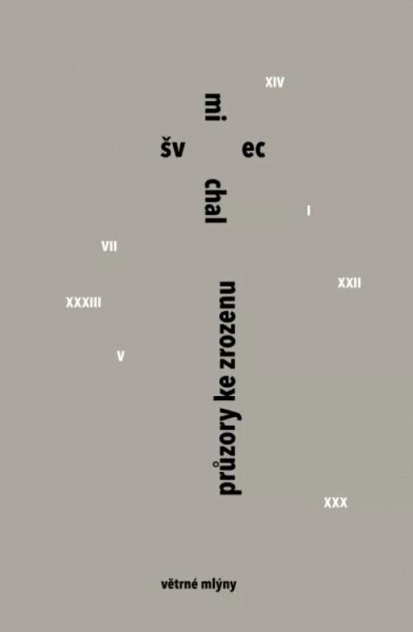 Průzory ke zrozenu (Michal Švec, 2024)