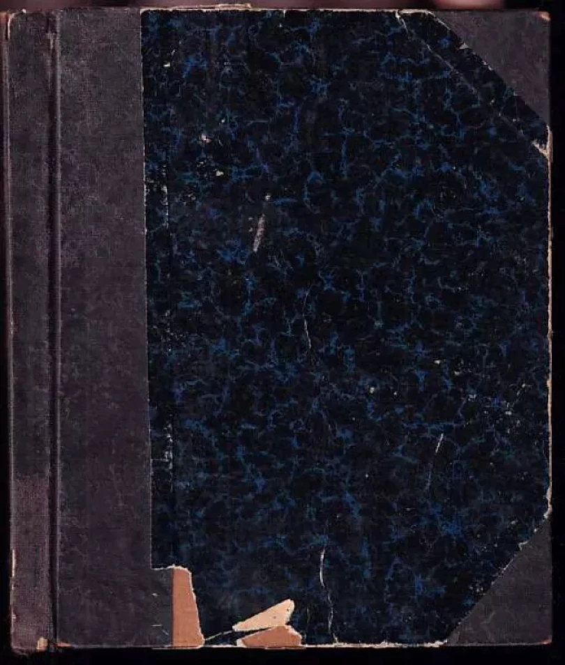 Levně První láska (Vítězslav Hálek, 1905)