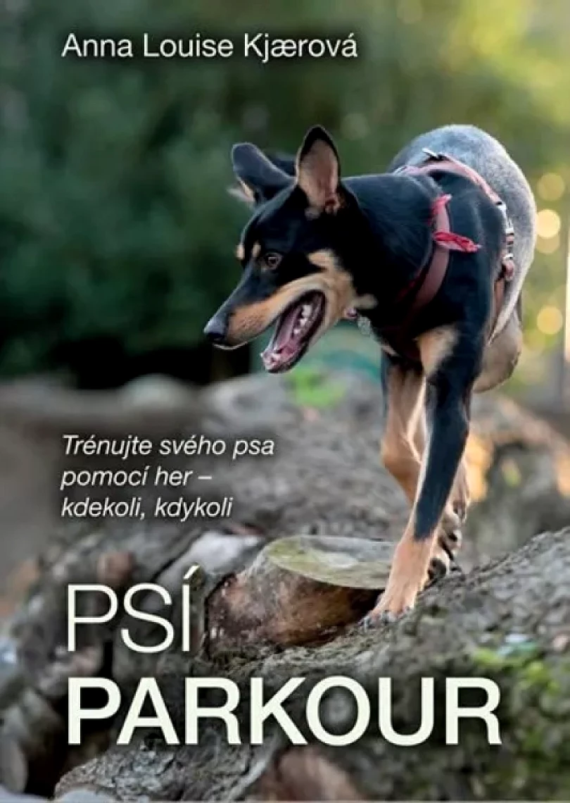 Psí parkour (Anna Kjaerová,, 2020)
