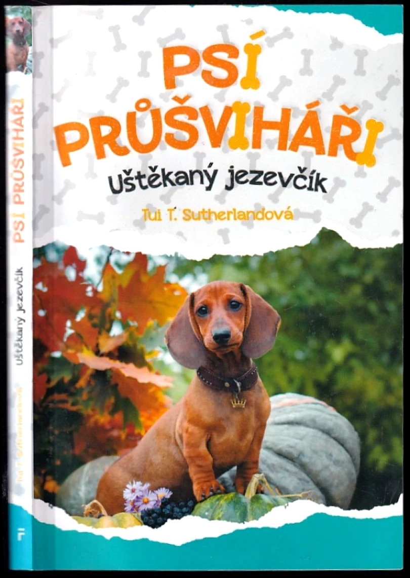 Psí průšviháři (Tui T. Sutherland, 2020)