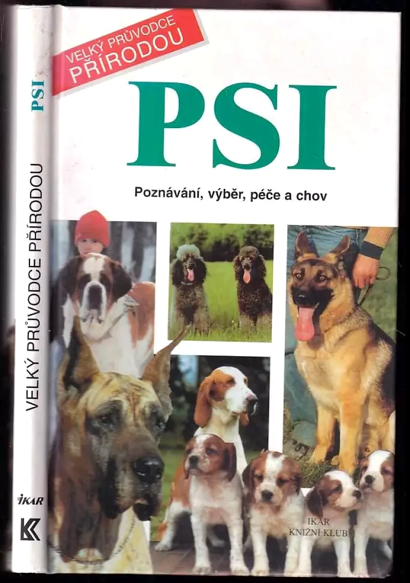 Psi (Rino Falappi, 2001)