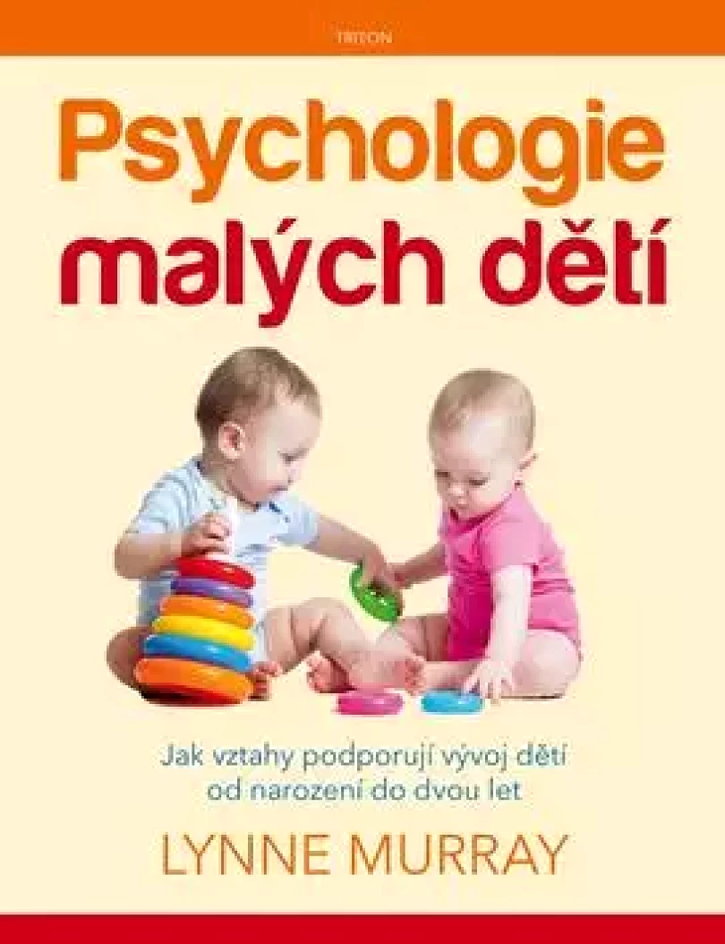 Levně Psychologie malých dětí (Lynne Murray, 2016)