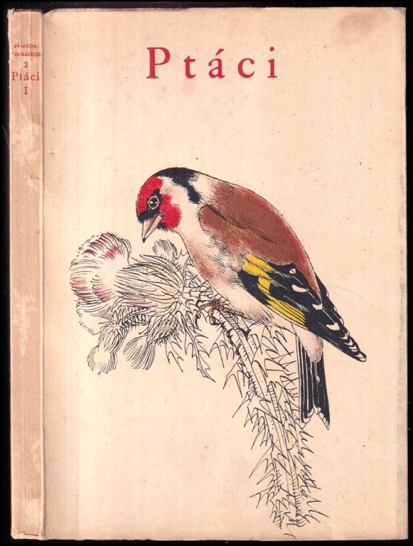 Ptáci (Karel Svolinský, 1943)