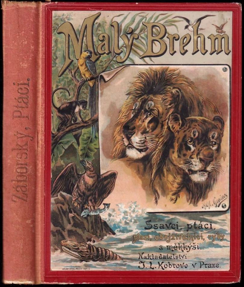 Ptáci (Bohuslav Záborský, 1895)