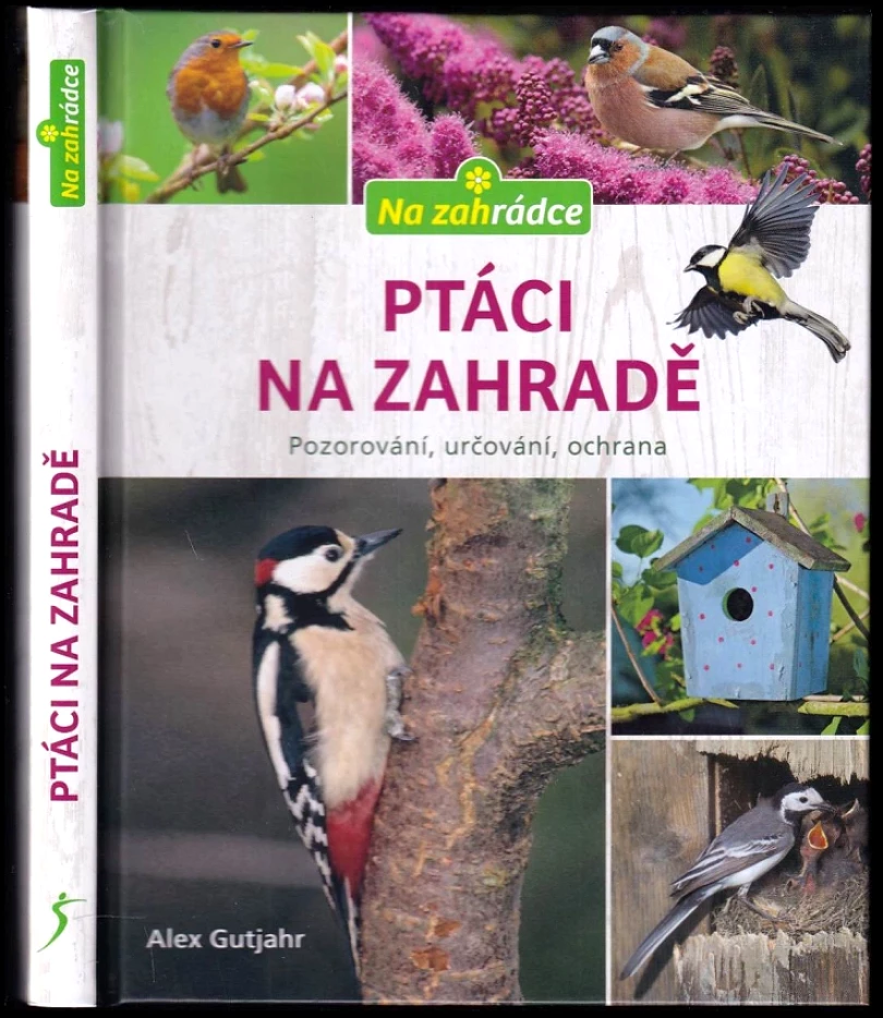 Levně Ptáci na zahradě (Axel Gutjahr, 2020)