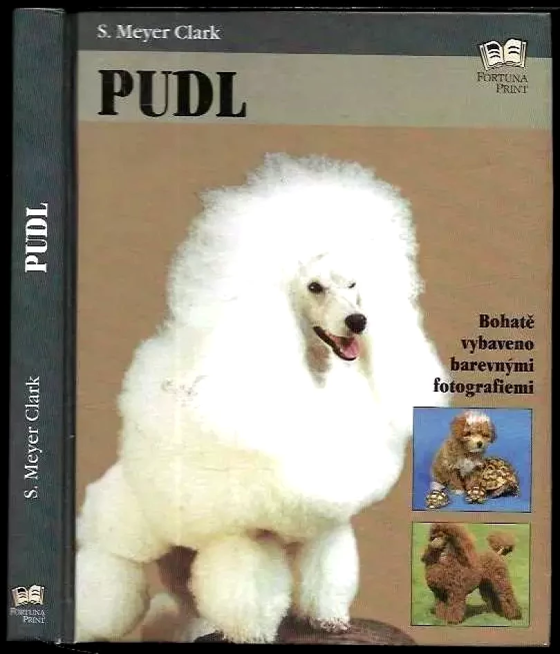 Levně Pudl (S. Meyer Clark, 2001)