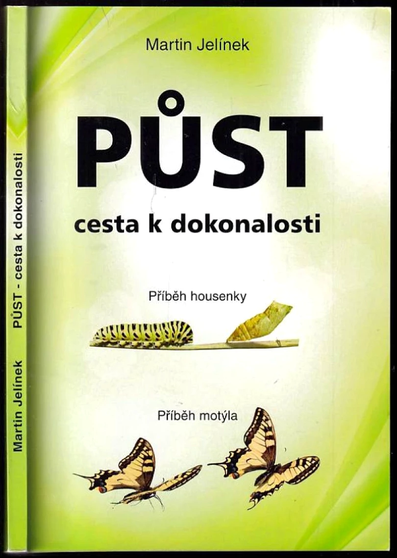 Půst - cesta k dokonalosti (Martin Jelínek, 2012)
