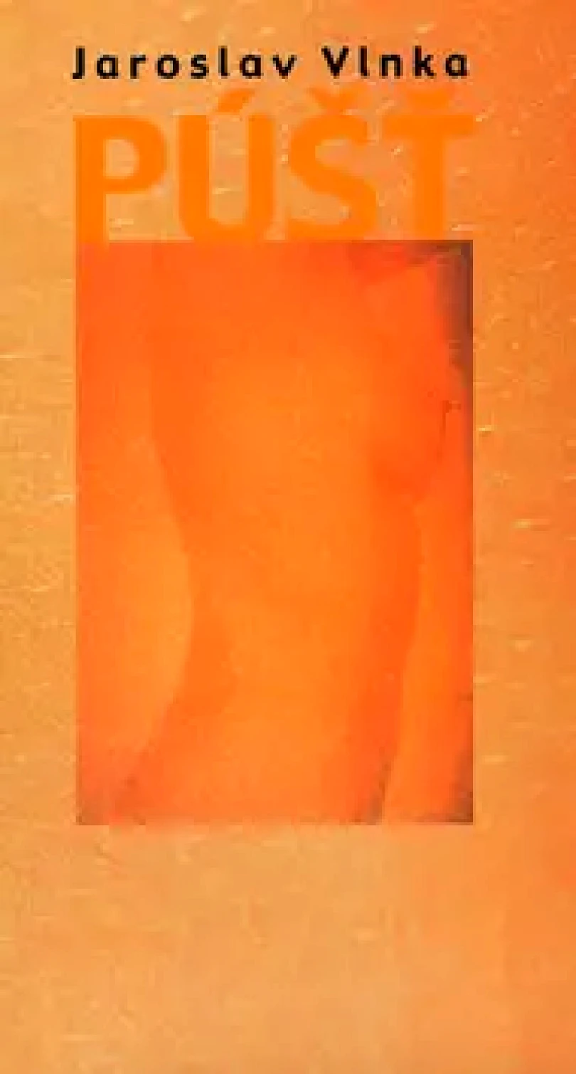 Levně Púšť (Jaroslav Vlnka, 2005)