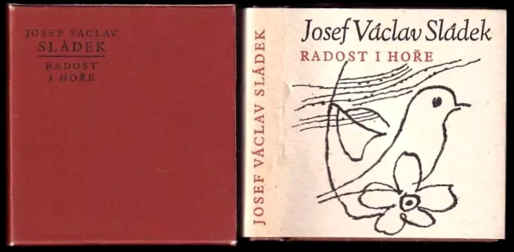 Radost i hoře (Josef Václav Sládek, 1980)