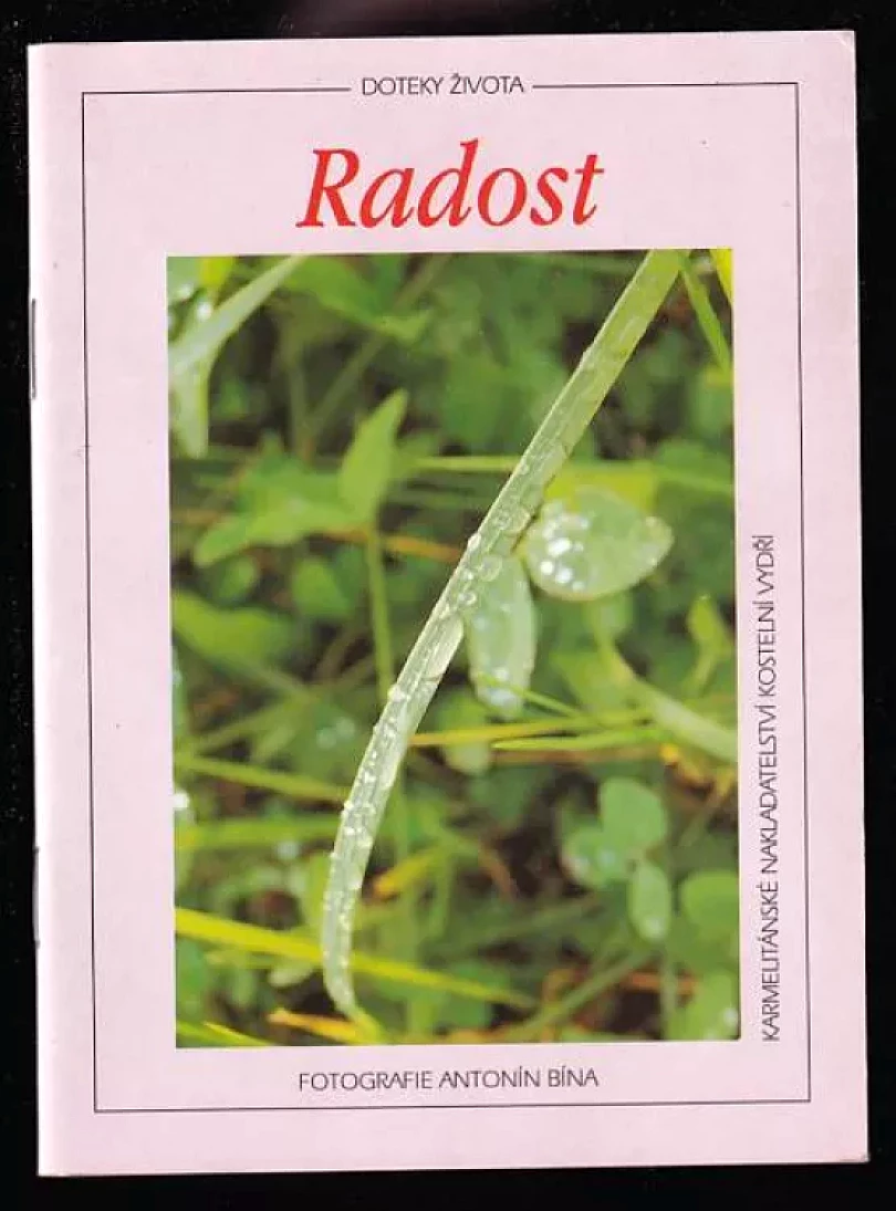 Radost (Zdeněk Demel, 1996)