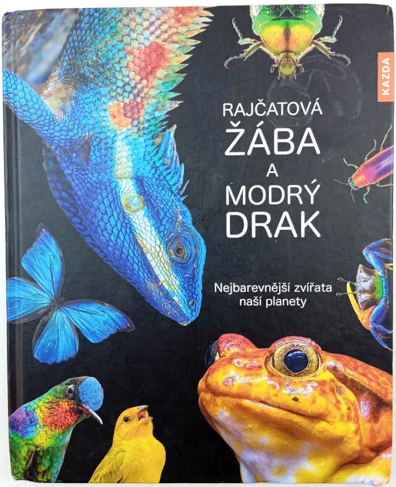 Levně Rajčatová žába a modrý drak (Andrea Köhrsenová,, 2021)