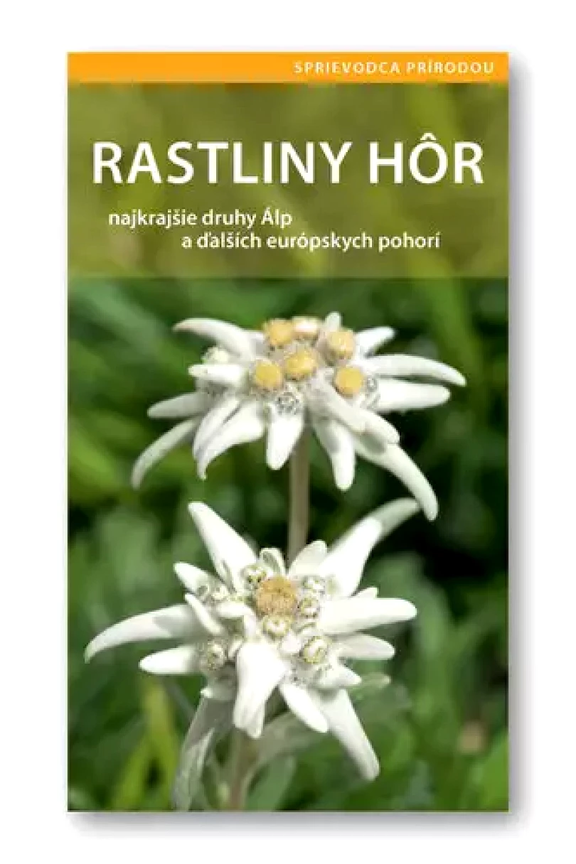 Rastliny hôr (, 2014)