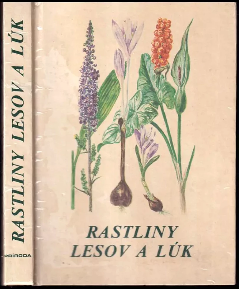 Rastliny lesov a lúk (Sándor Jávorka, 1983)