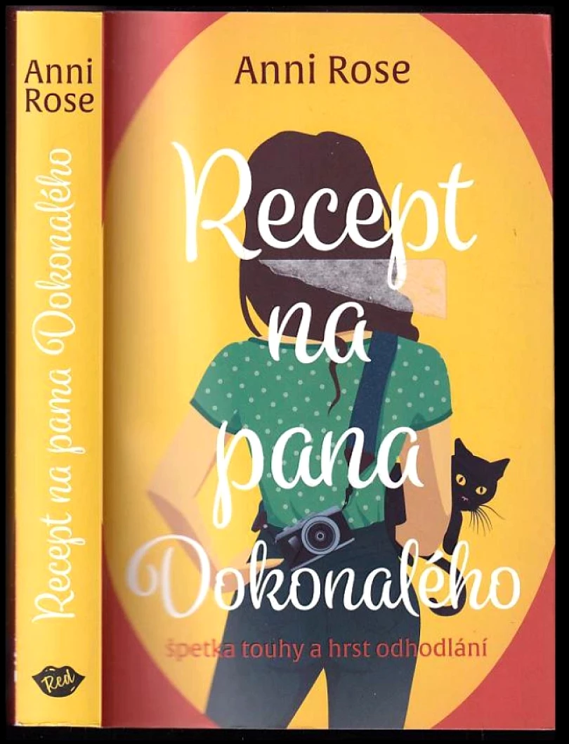 Levně Recept na pana Dokonalého (Anni Rose, 2024)