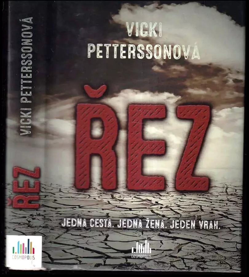 Levně Řez (Vicki Pettersson, 2015)