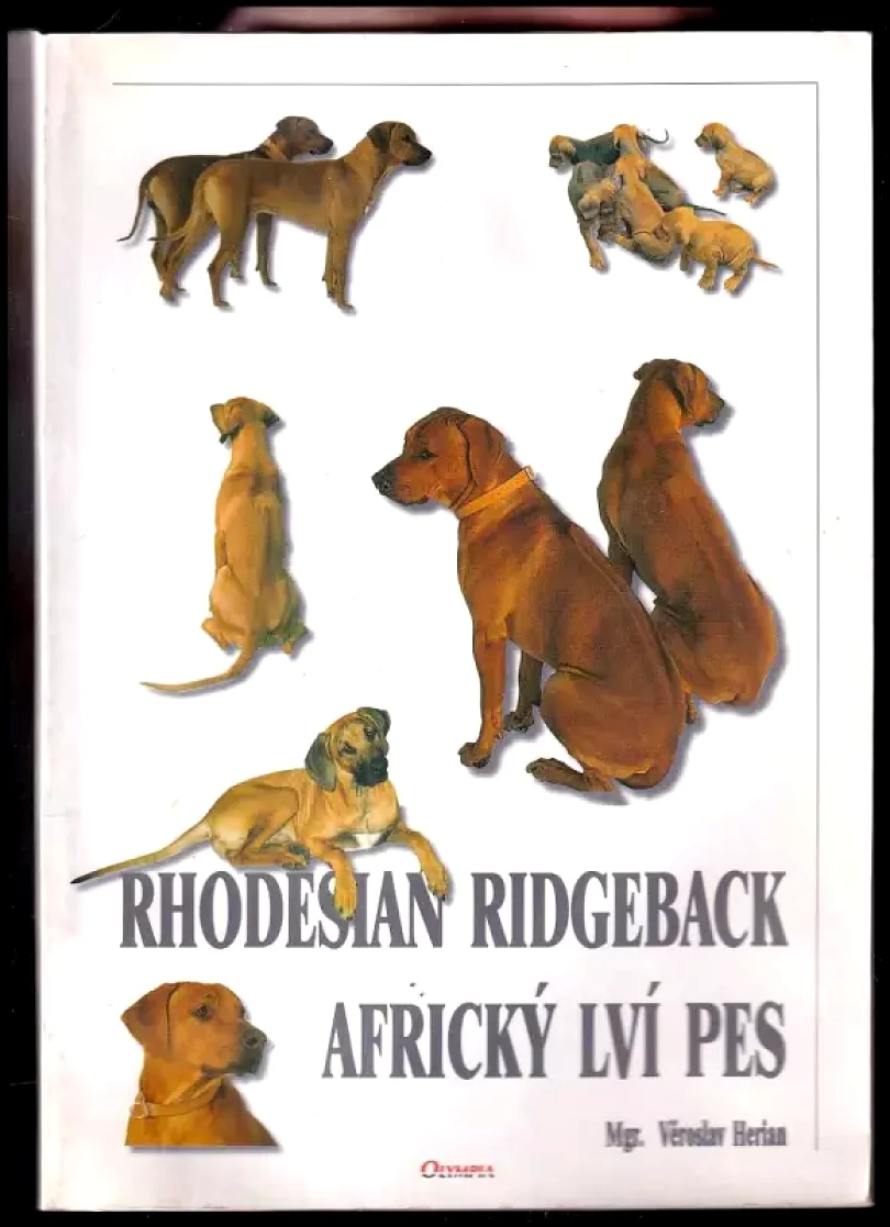 Rhodesian ridgeback africký lví pes (Věroslav Herian, 1998)