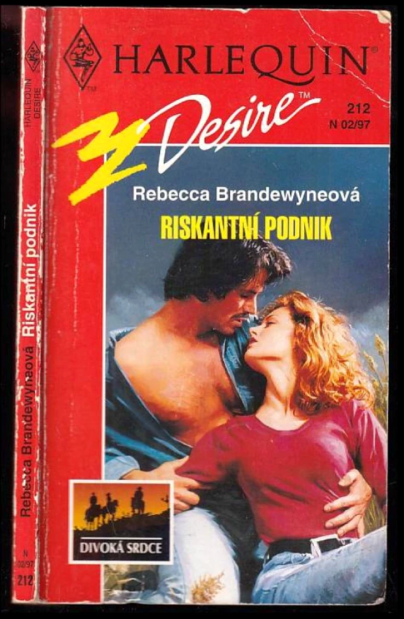 Riskantní podnik (Rebecca Brandewyne, 1997)