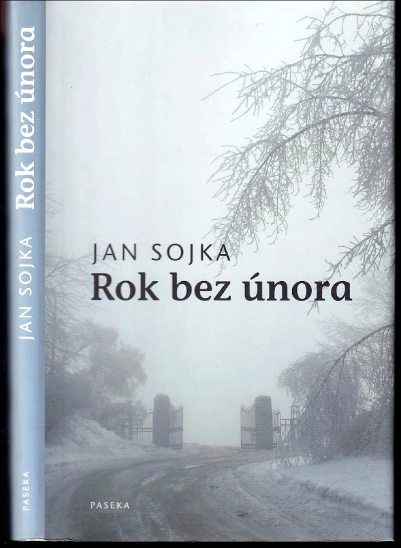 Levně Rok bez února (Jan Sojka, 2007)