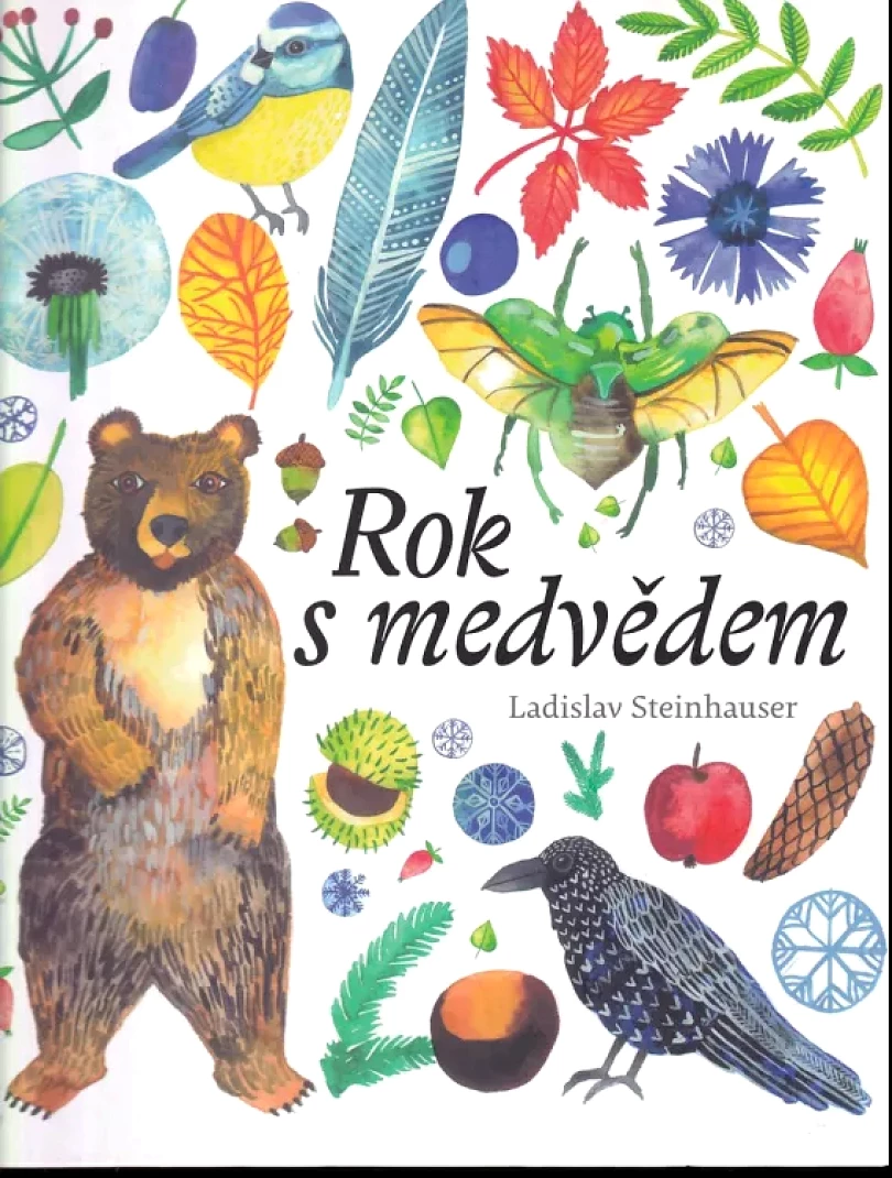 Rok s medvědem (Ladislav Steinhauser, 2017)