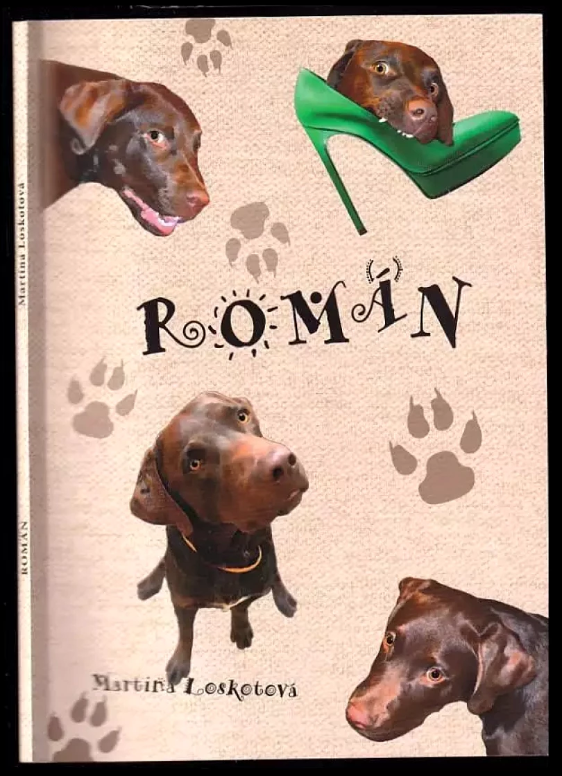 Levně Román (Martina Loskotová, 2018)