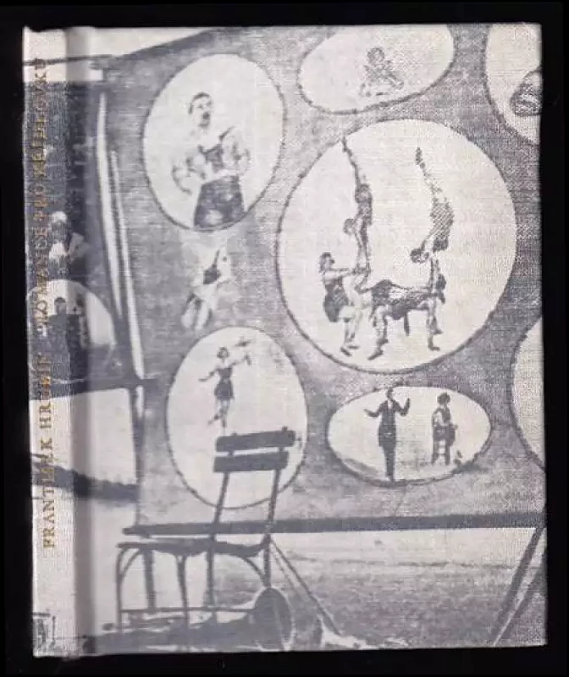 Levně Romance pro křídlovku (František Hrubín, 1966)