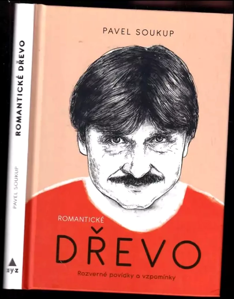 Romantické dřevo (Pavel Soukup, 2020)