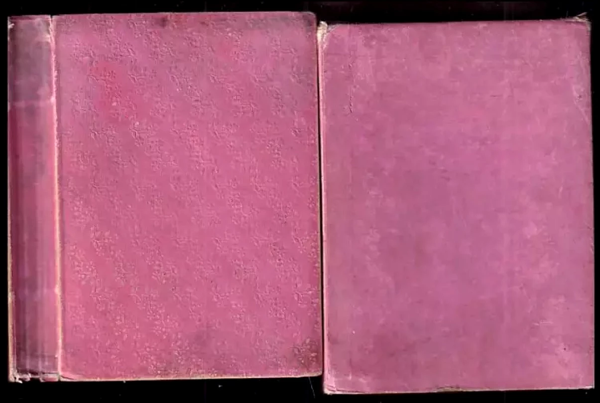 Rosen Ein Taschenbuch (, 1828)