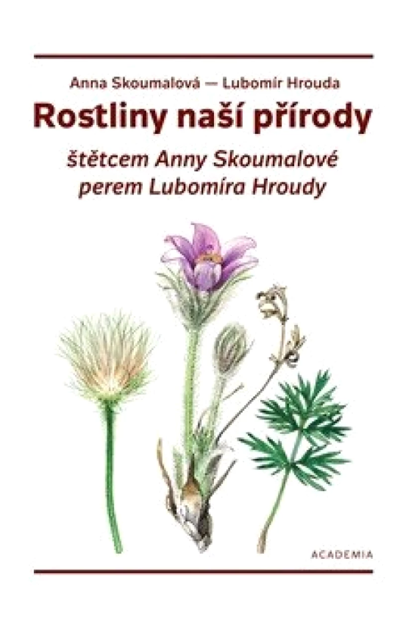 Rostliny naší přírody štětcem Anny Skoumalové a perem Lubomíra Hroudy (Lubomír Hrouda, 2025)