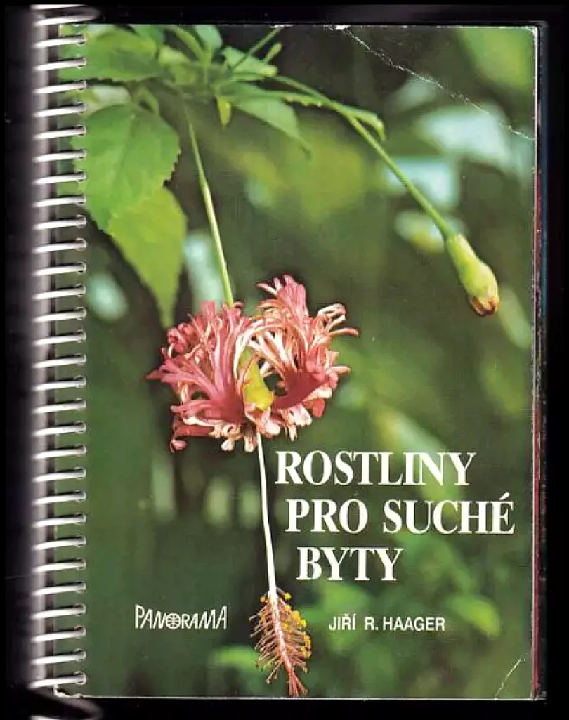 Levně Rostliny pro suché byty (Jiří Haager, 1989)