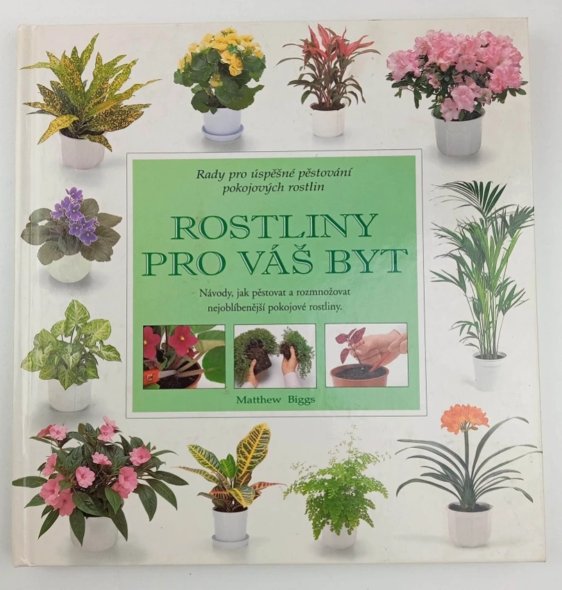 Levně Rostliny pro váš byt (Matthew Biggs, 1997)