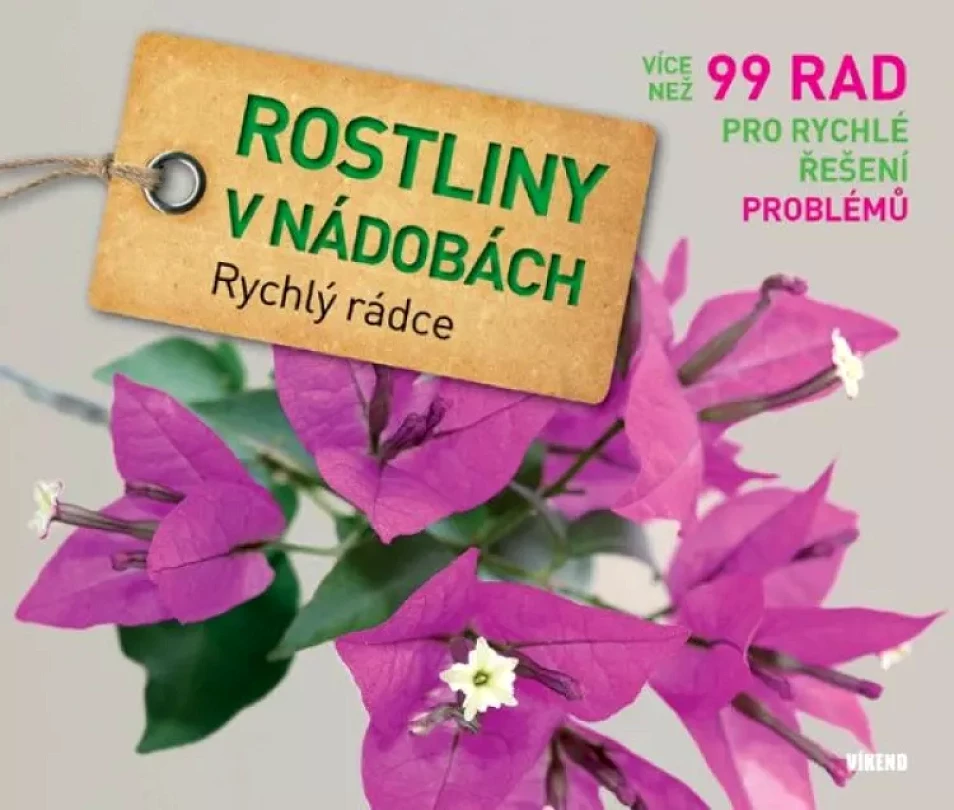 Levně Rostliny v nádobách (Tanja Ratsch, 2013)