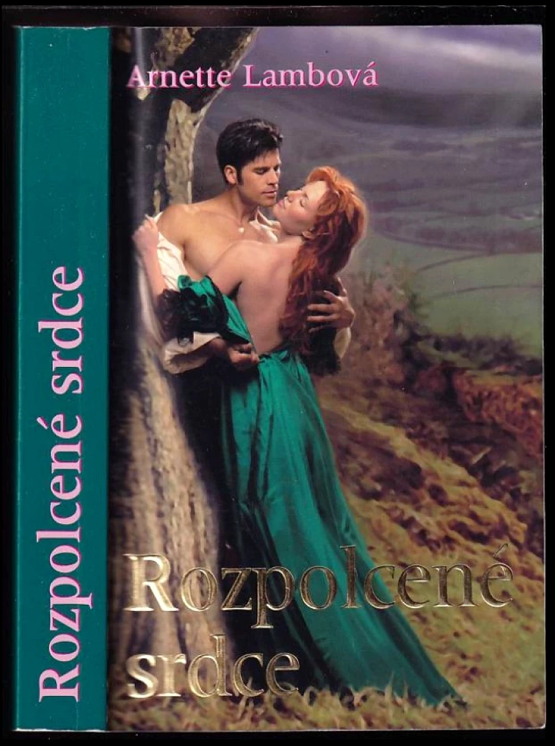 Levně Rozpolcené srdce (Arnette Lamb, 2007)