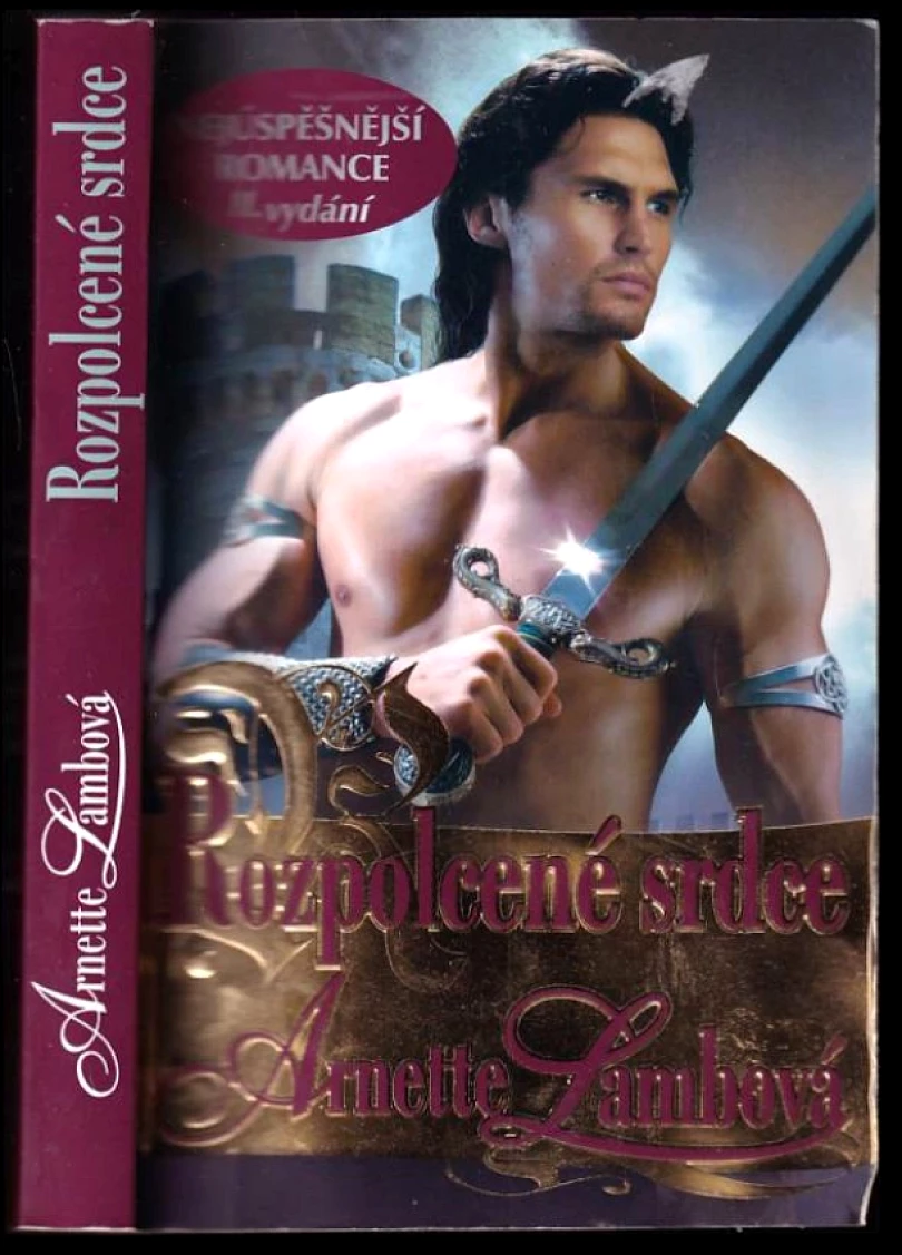 Levně Rozpolcené srdce (Arnette Lamb, 2011)