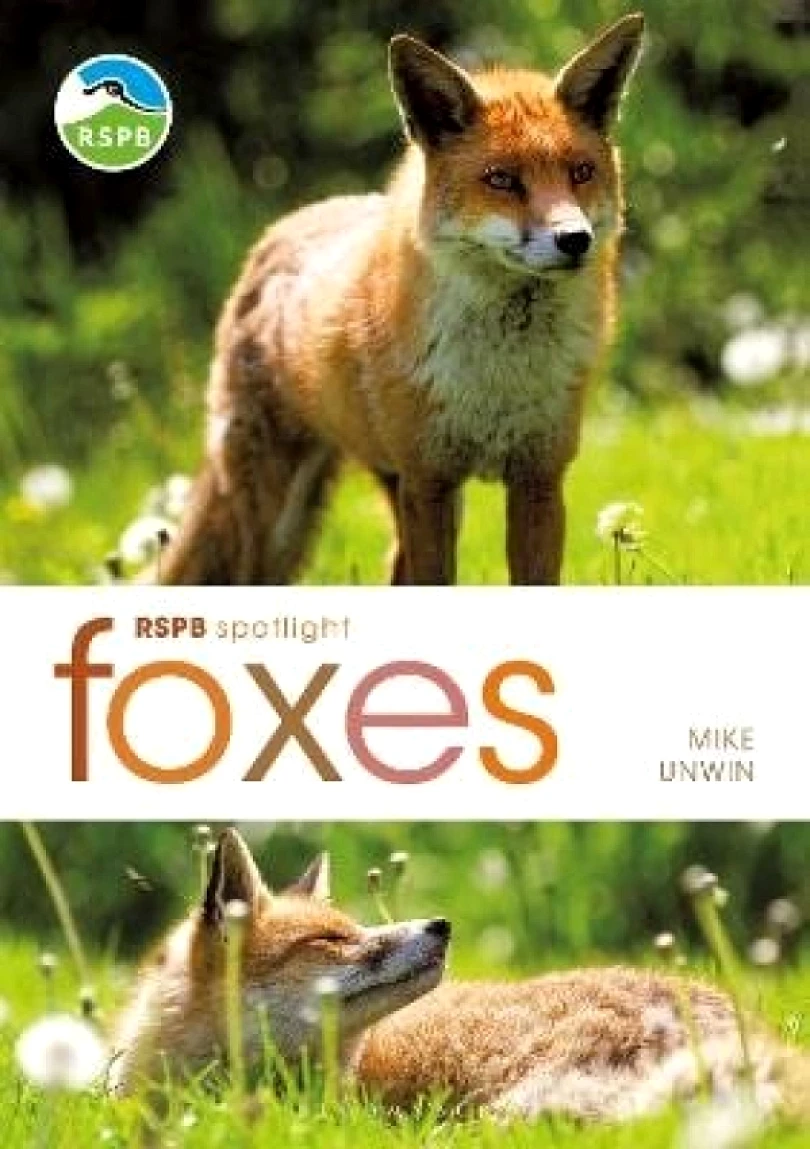 RSPB Spotlight: Foxes (-, 2020)