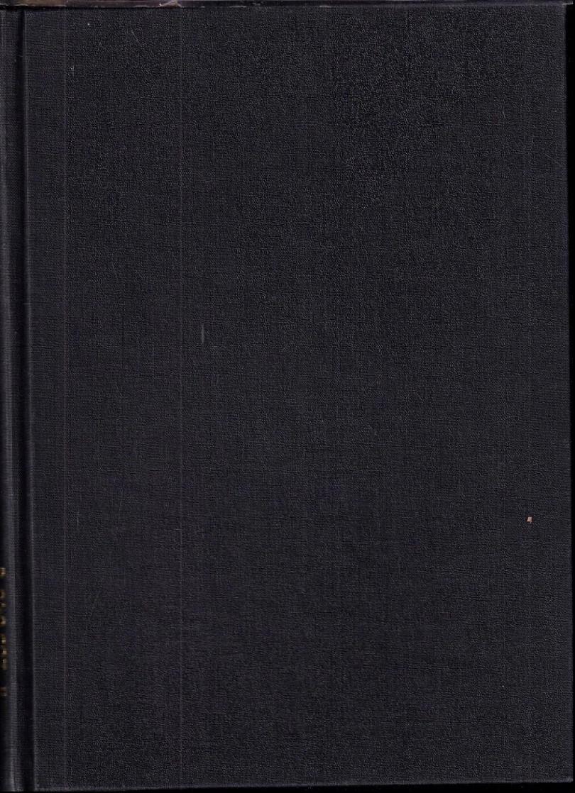 Ruský jazyk (Nelli Tichavská, 1974)
