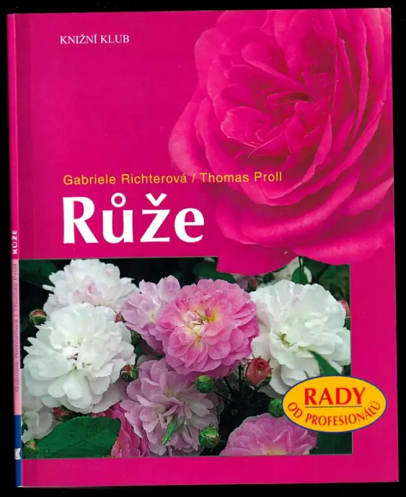 Růže (Gabriele Richter, 2008)