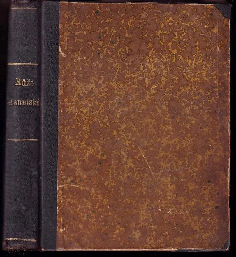 Růže Granadská (Jean Rameau, 1900)