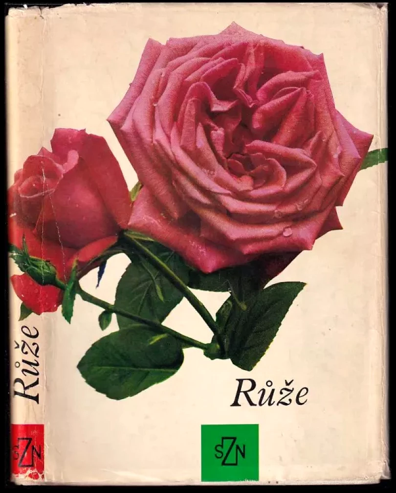 Růže (Ludvík Večeřa, 1967)