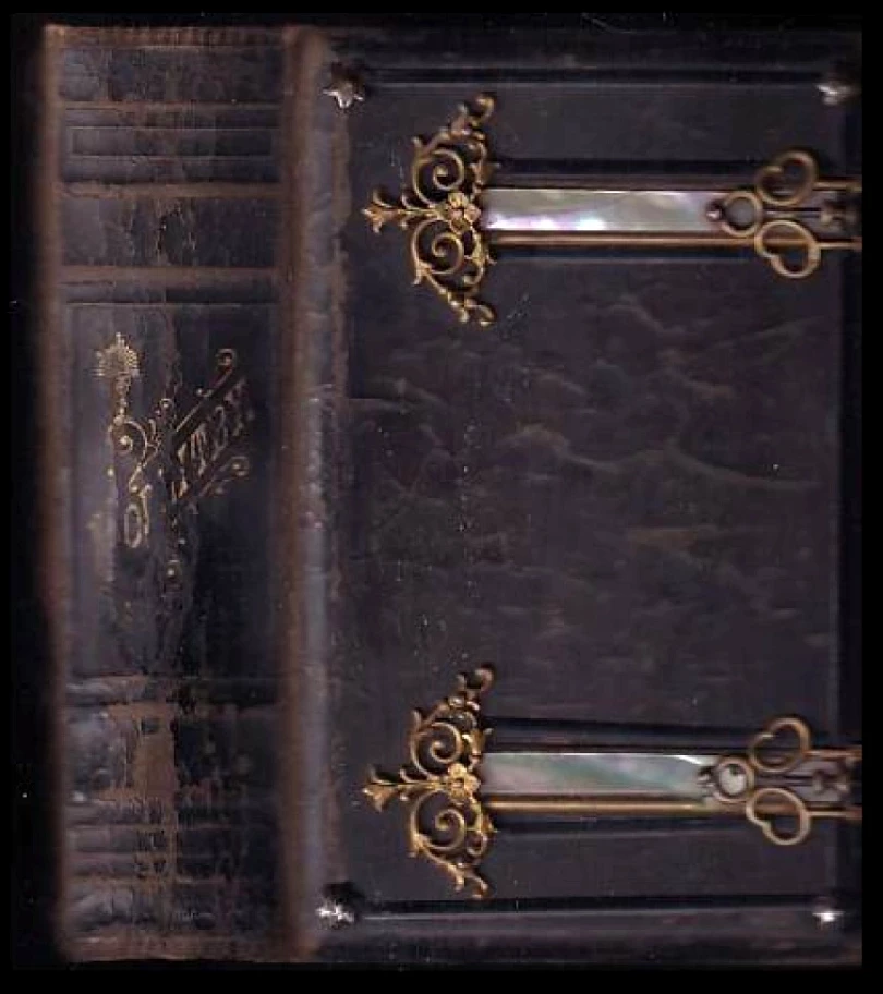 Růže Sionská (J Přibík, 1885)