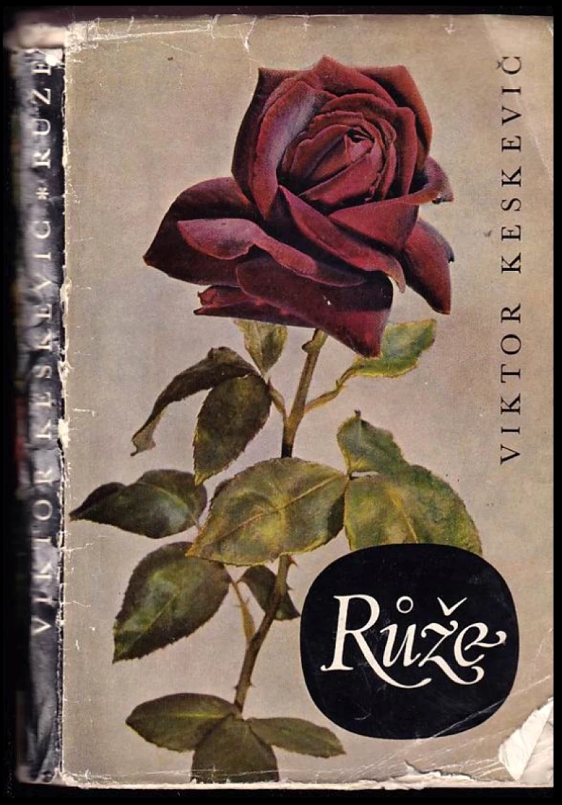 Růže (Viktor Keskevič, 1963)