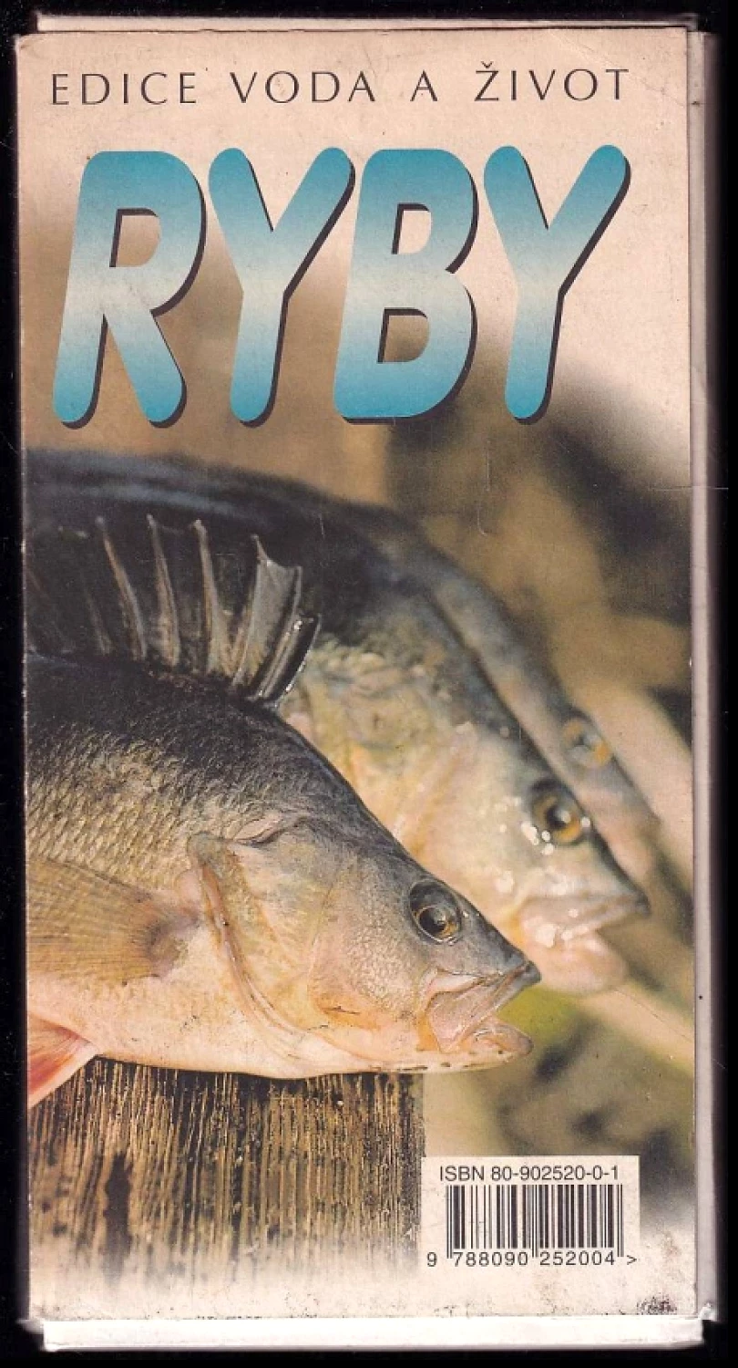 Levně Ryby (Otto Pospíšil, 1998)
