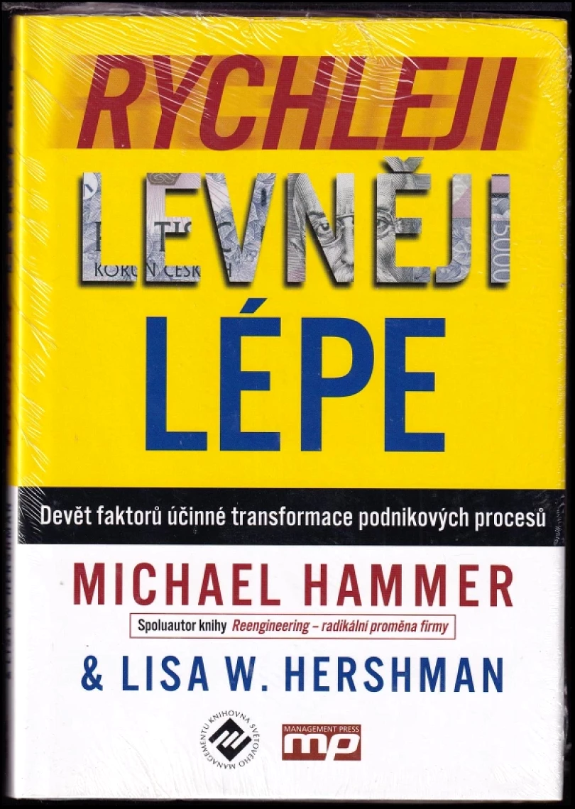 Rychleji, levněji, lépe (Michael Hammer, 2013)