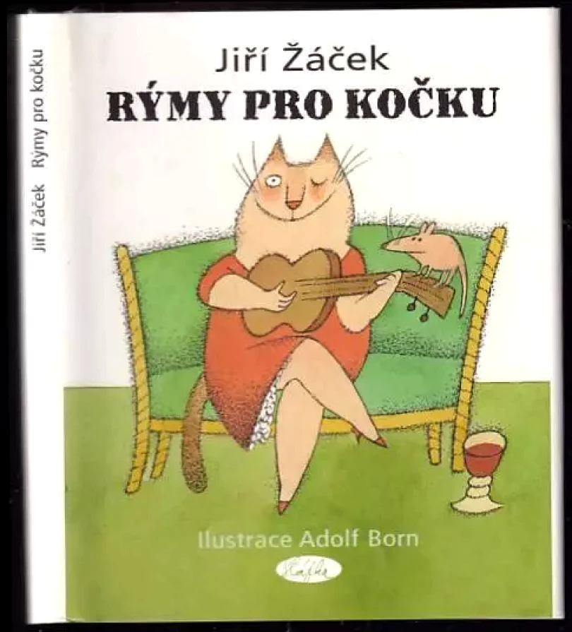 Rýmy pro kočku (Jiří Žáček, 2006)