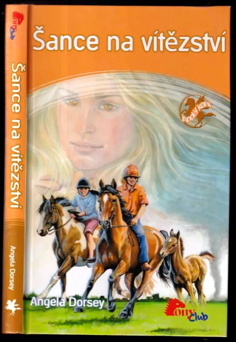 Levně Šance na vítězství (Angela Dorsey, 2008)