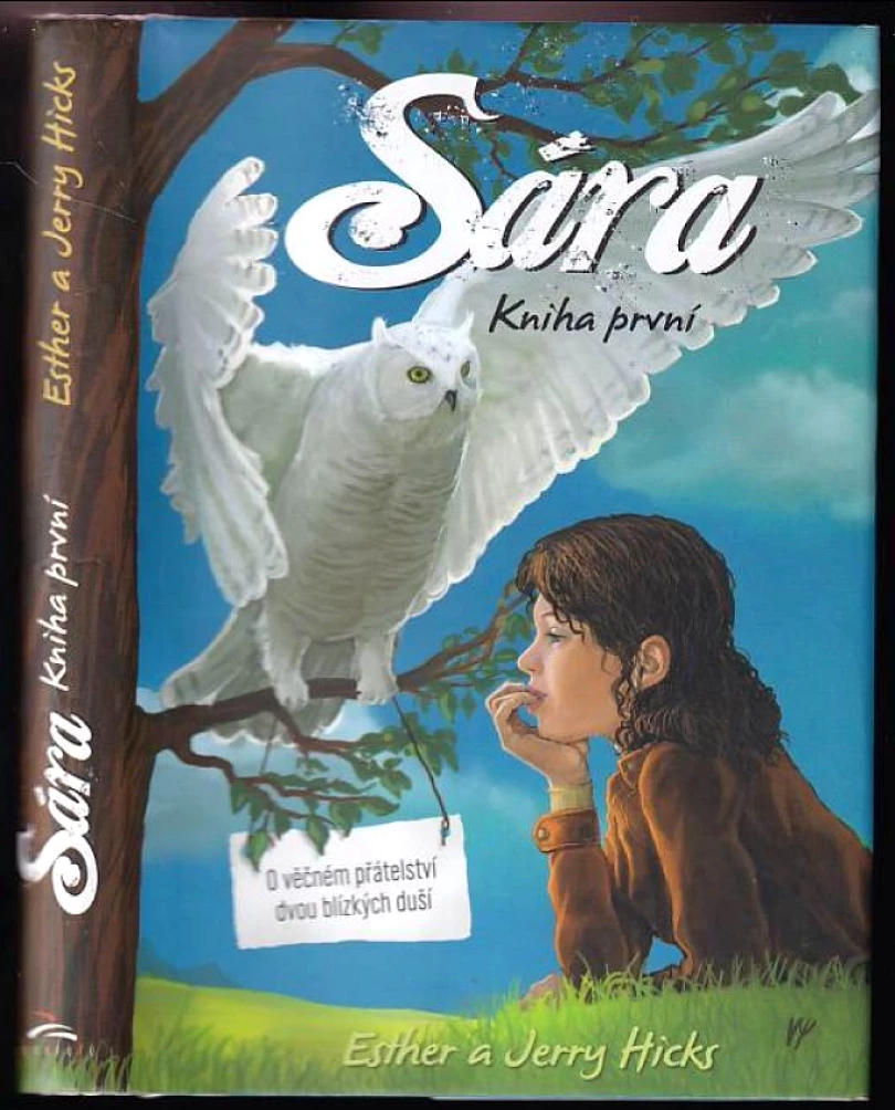 Levně Sára (Esther Hicks, 2012)