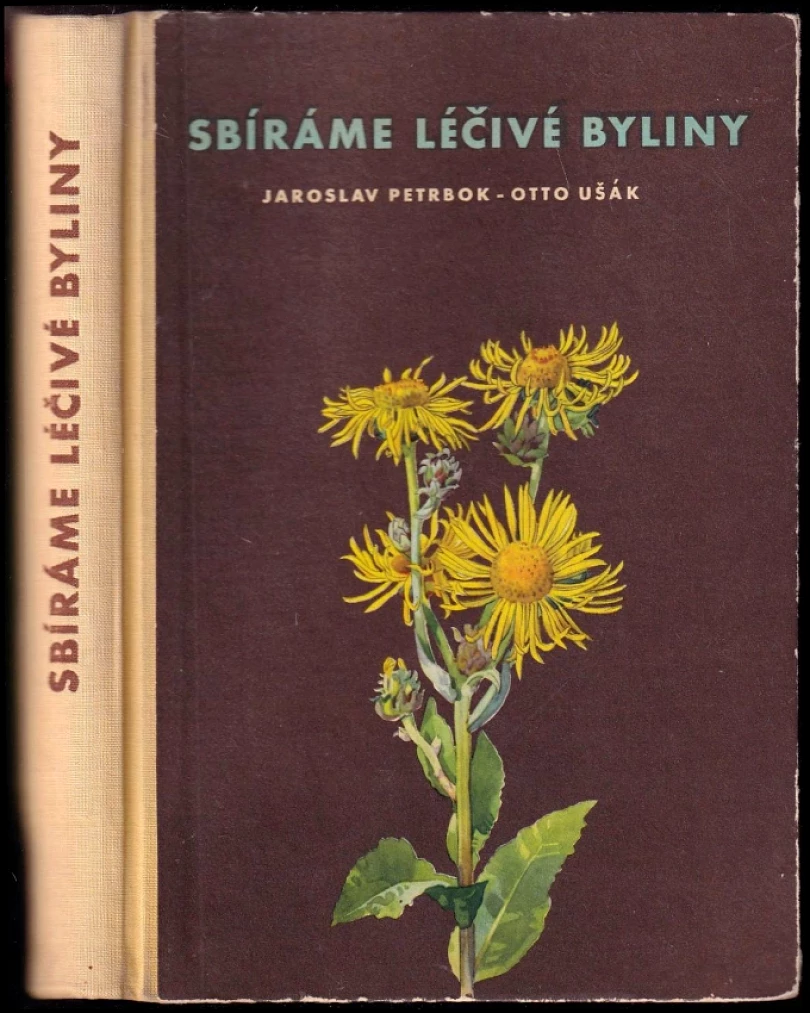 Levně Sbíráme léčivé byliny (Jaroslav M Petrbok, 1958)