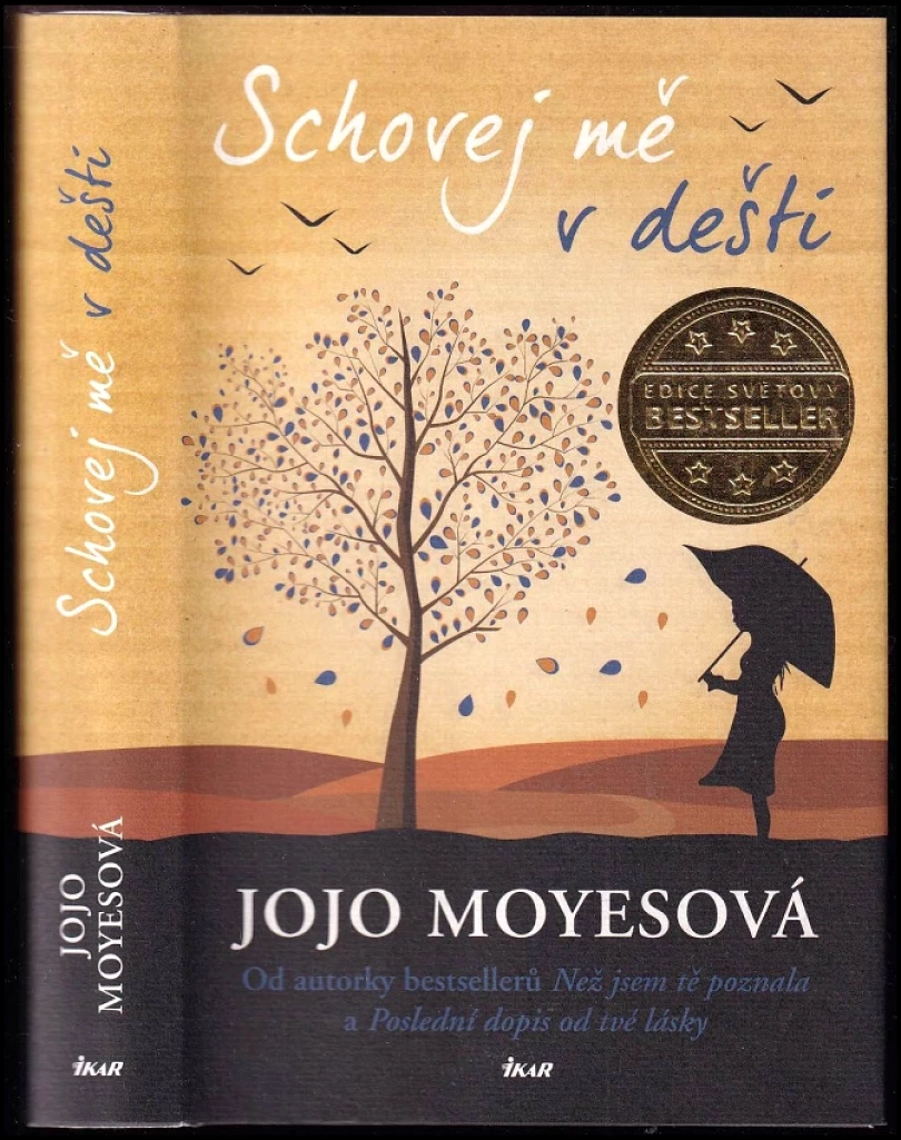 Levně Schovej mě v dešti (Jojo Moyes, 2020)