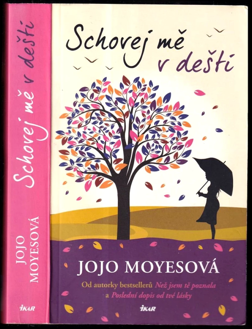 Levně Schovej mě v dešti (Jojo Moyes, 2021)