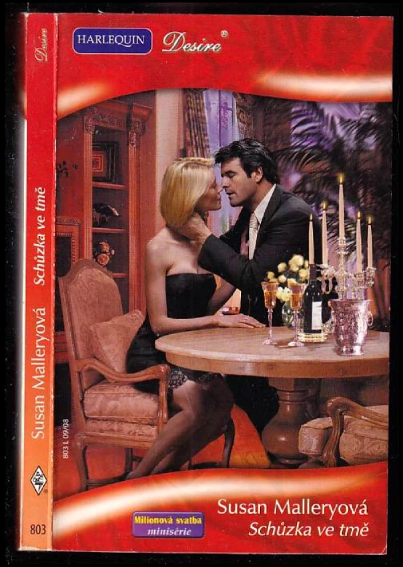 Levně Schůzka ve tmě (Susan Mallery, 2008)